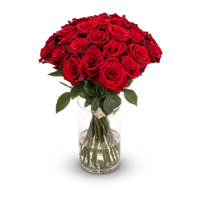 Kytice rudých růží